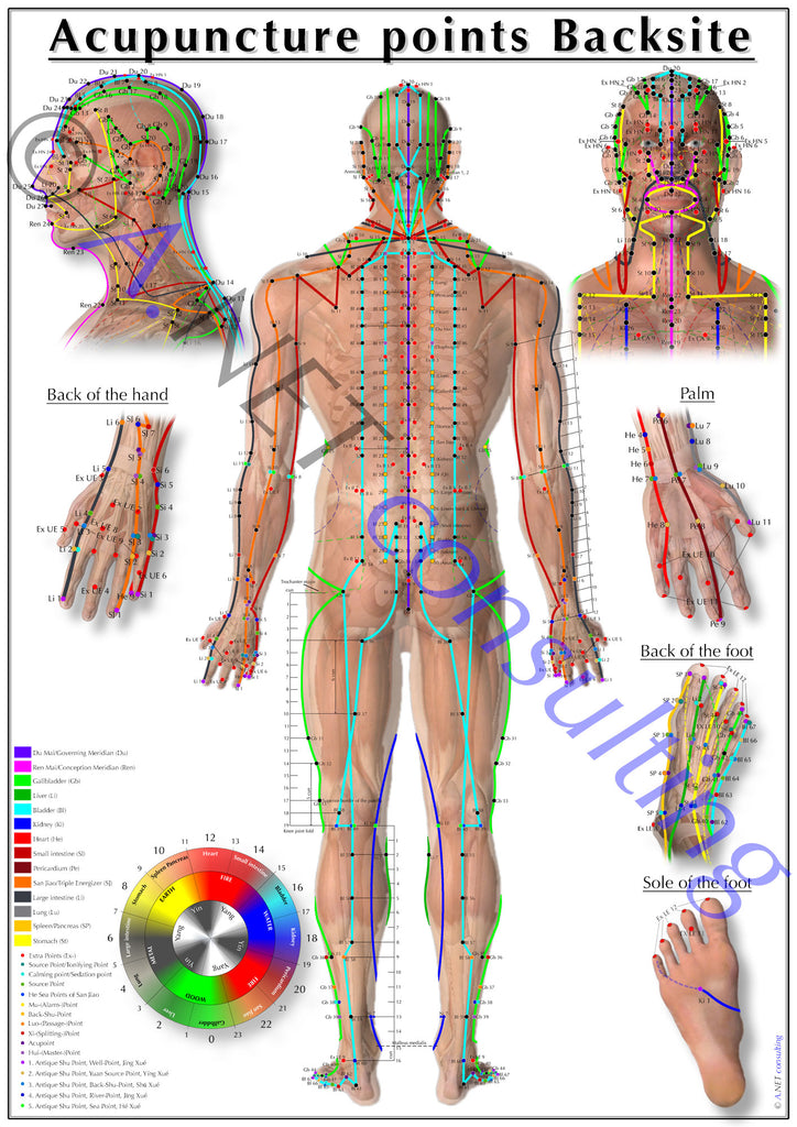 Acupuncture poster back side DIN A4 bis A0 (as download)
