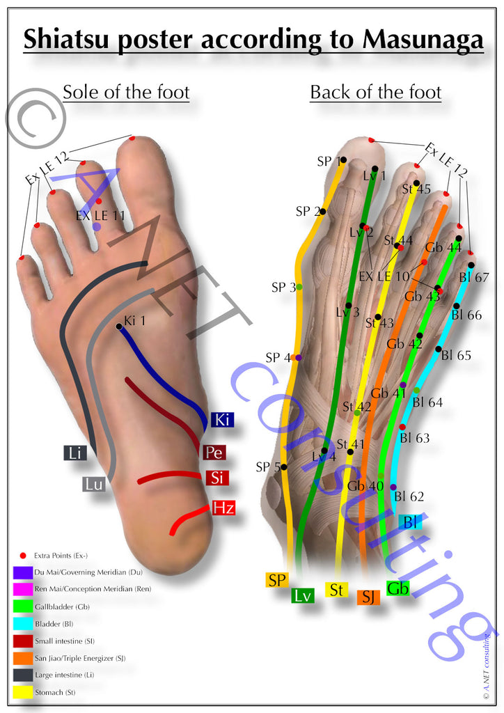 Shiatsu poster feeds DIN A4 bis A0 (as download)