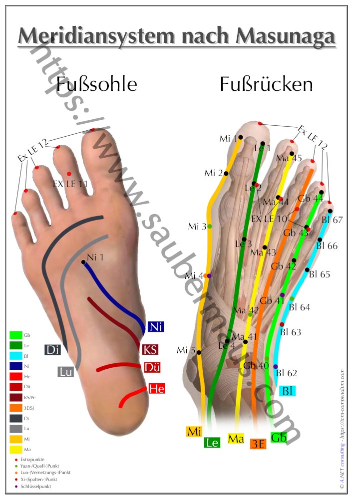 Shiatsu-Poster Füße DIN A4 bis A0 (als Download)