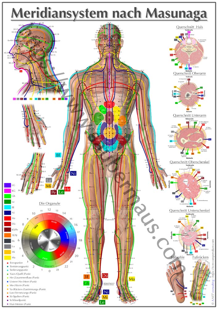 Shiatsu-Poster Frontseite DIN A4 bis A0 (als Download)