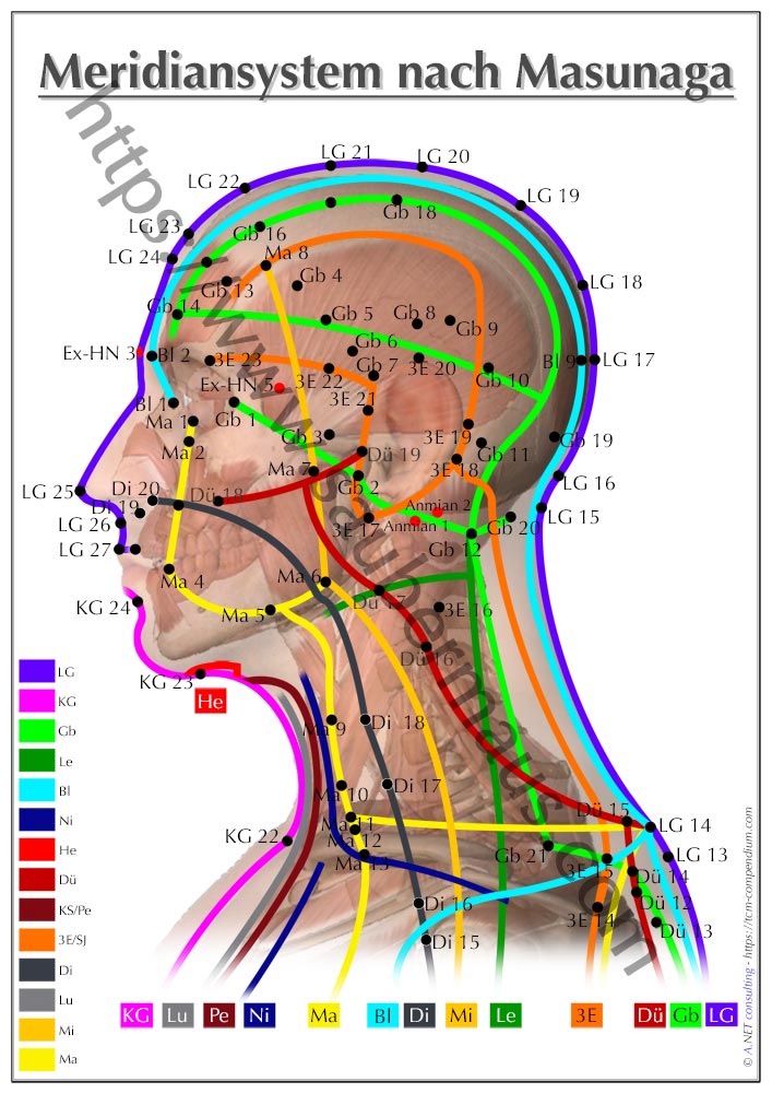 Shiatsu-Poster Kopf DIN A4 bis A0 (als Download)