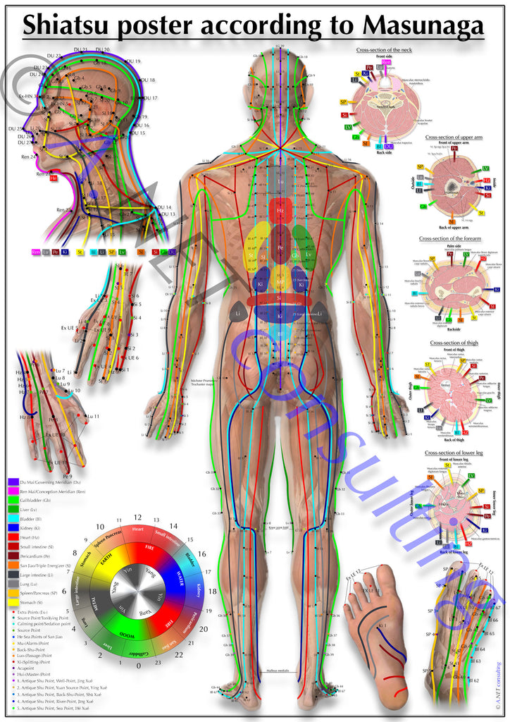 Shiatsu poster back side DIN A4 bis A0 (as download)