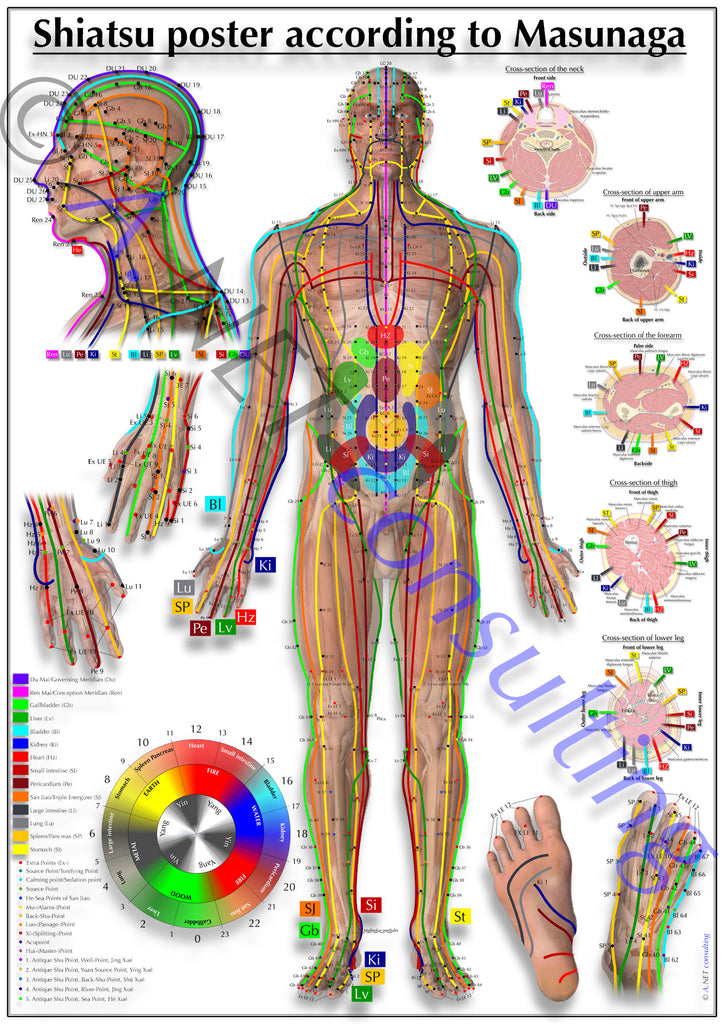Shiatsu poster front side DIN A4 bis A0 (as download)