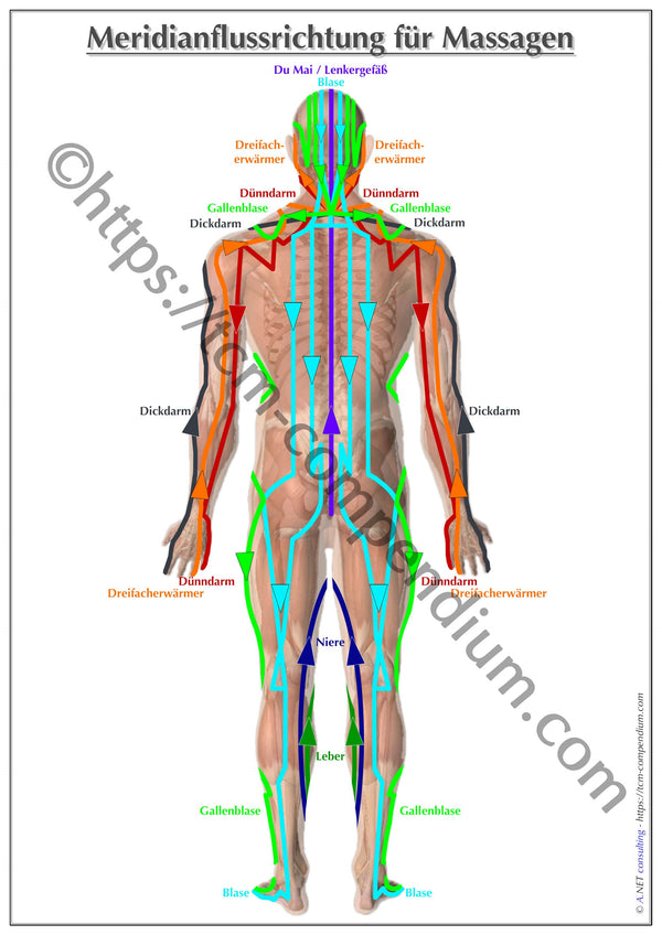 TCM-Poster für Massage Frontseite DIN A4 bis A0 (als Download)